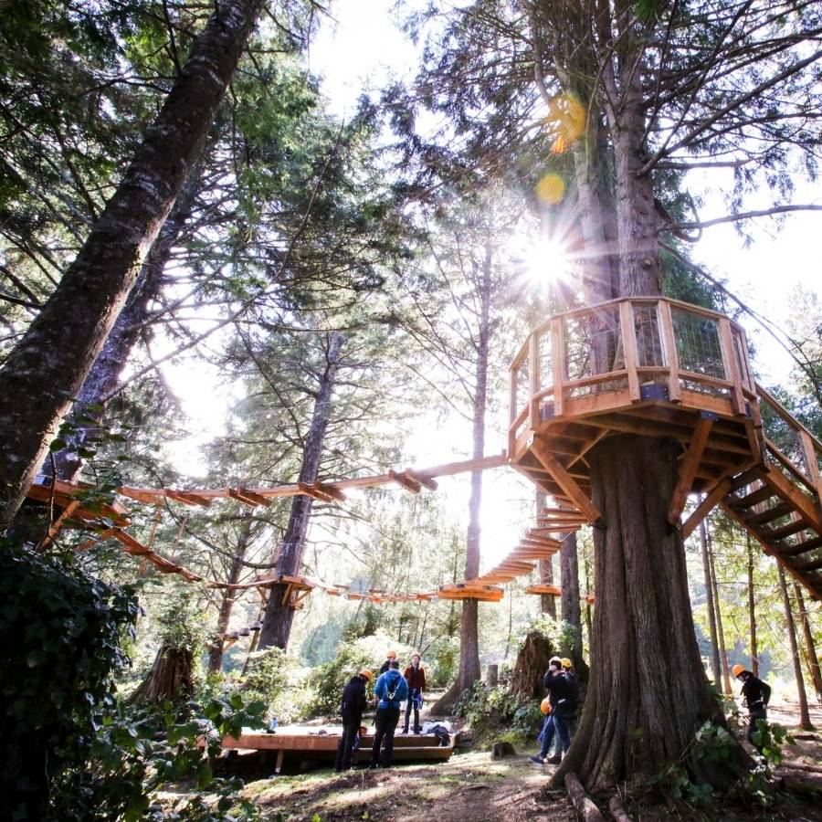 Aerial Park from the ground