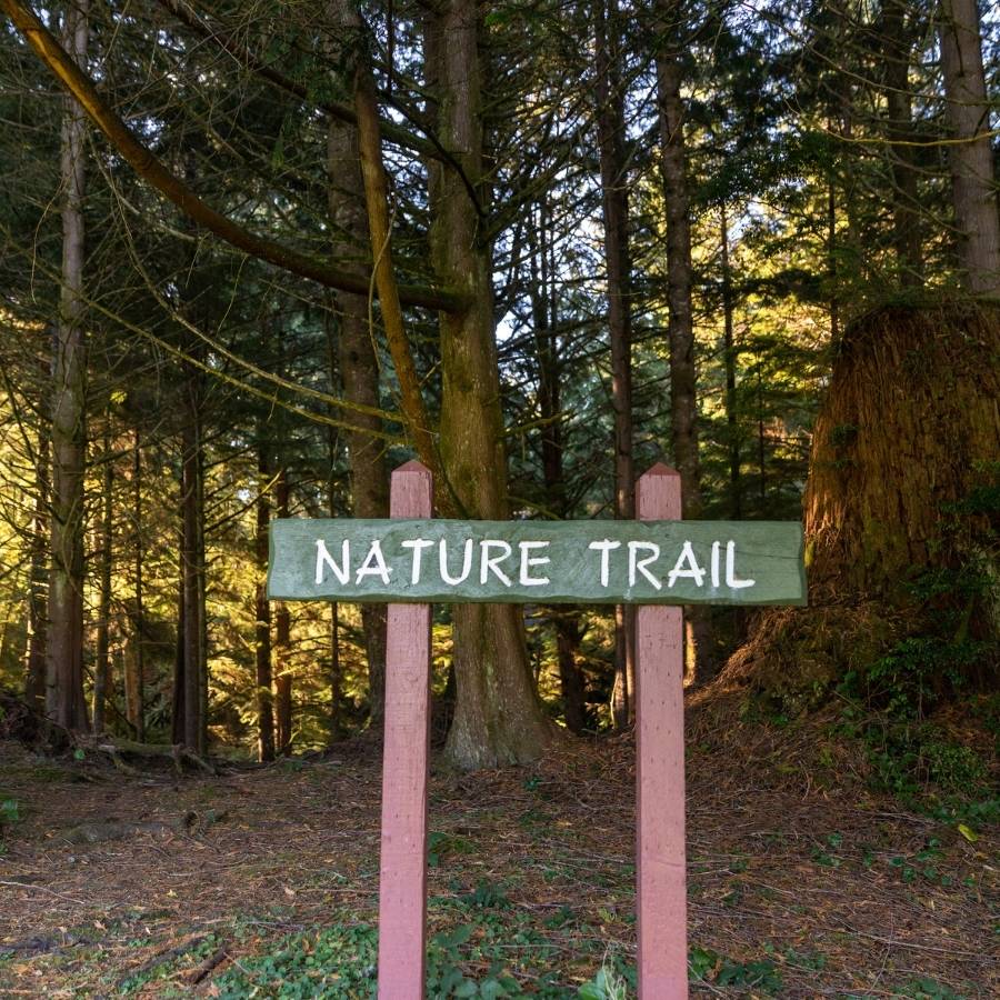 Nature Trail Sign