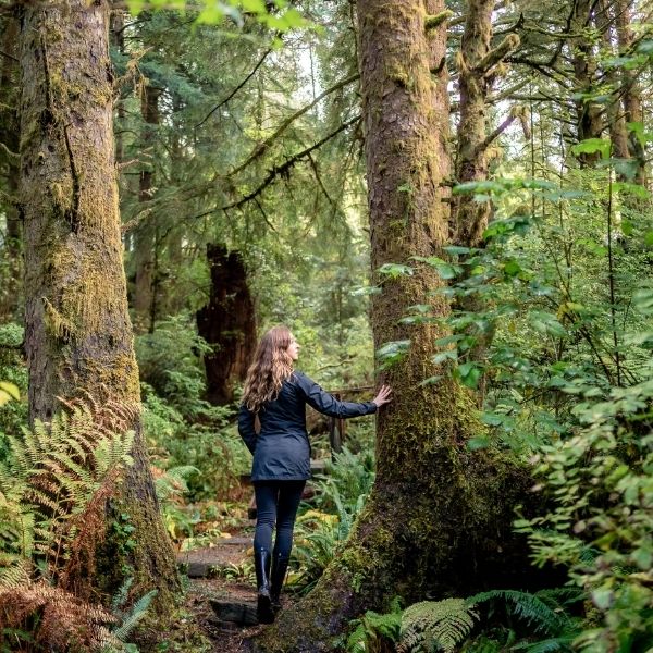 Walking trails in the forest at Salishan