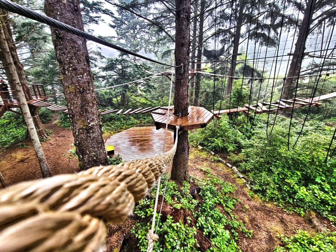 Aerial Park at Salishan Coastal Lodge