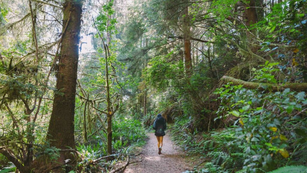 Flyover of Salishan Golf Links