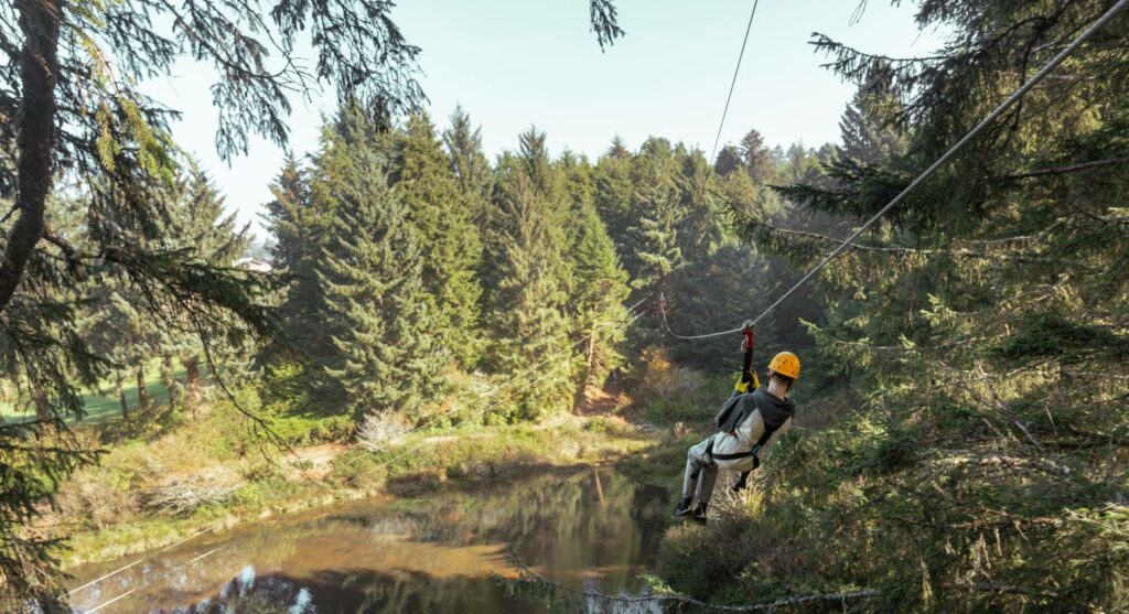 Aerial Park & Ziplines