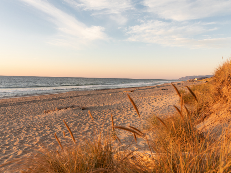 Group Activities_CSR Beach_SLN