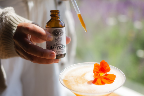 Spring Into Wellness Offer 600 x 400 px