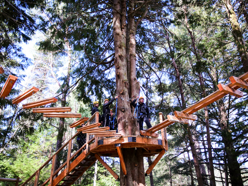 Aerial Park at Salishan Coastal Lodge